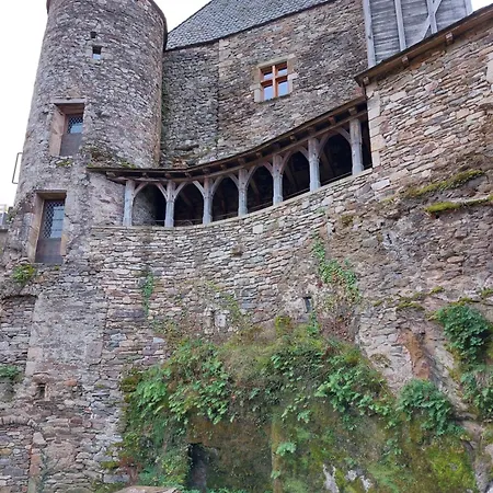 度假居 Le Paradis Des Chataigniers 纳雅克