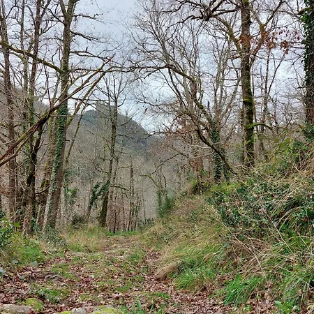 Le Paradis Des Chataigniers Najac